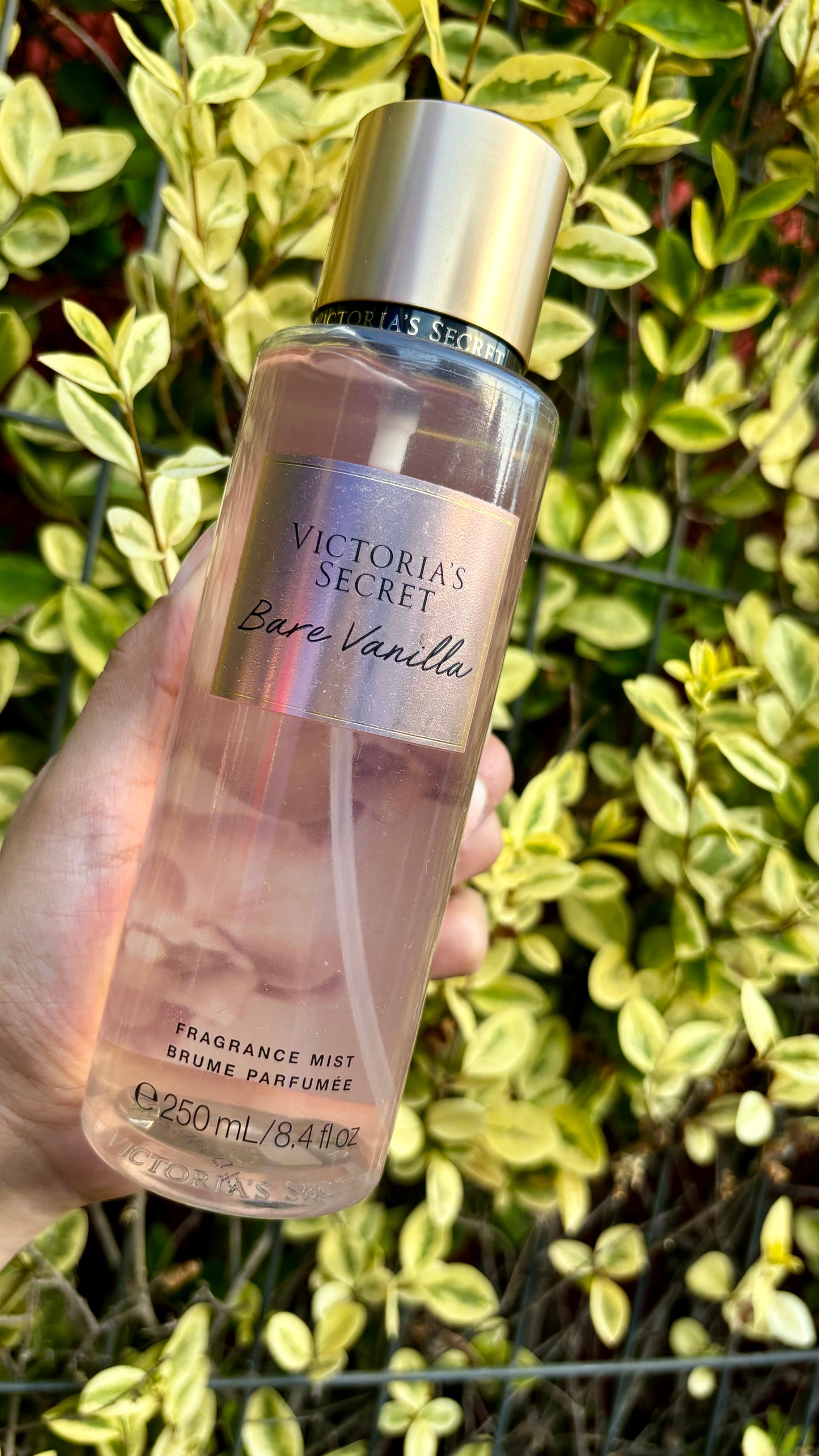 Bare Vanilla