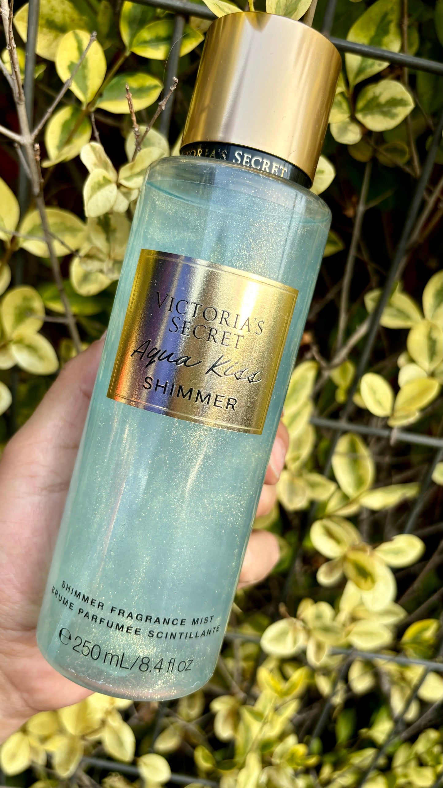 Aqua Kiss Shimmer